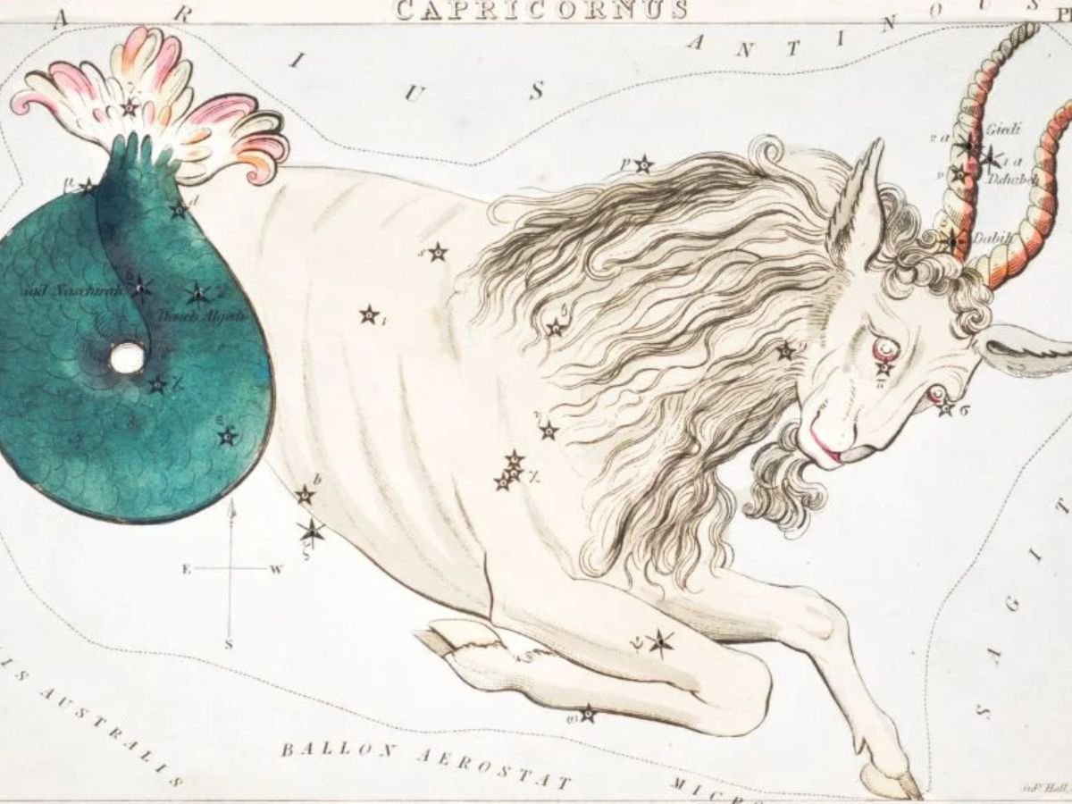 capricorn